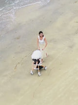 poussette    Chariot léger 4 en 1